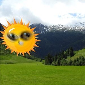 Meet your Posher, Adriana